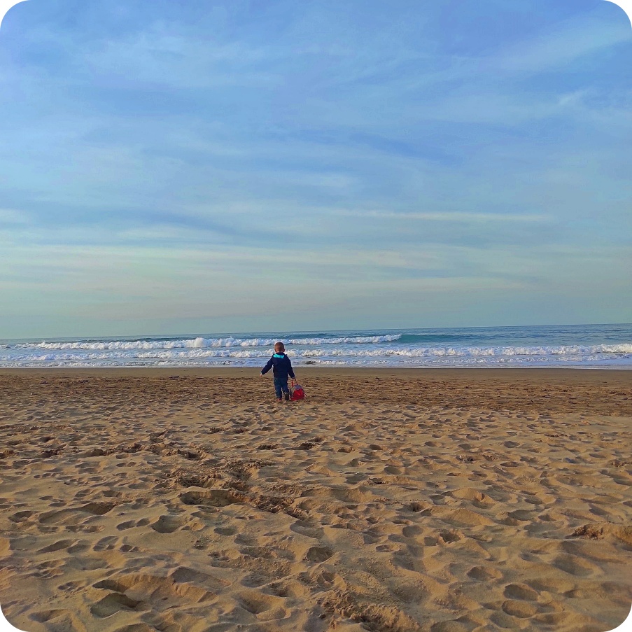 PLANES EN ASTURIAS, PLAYA DE LA VEGA