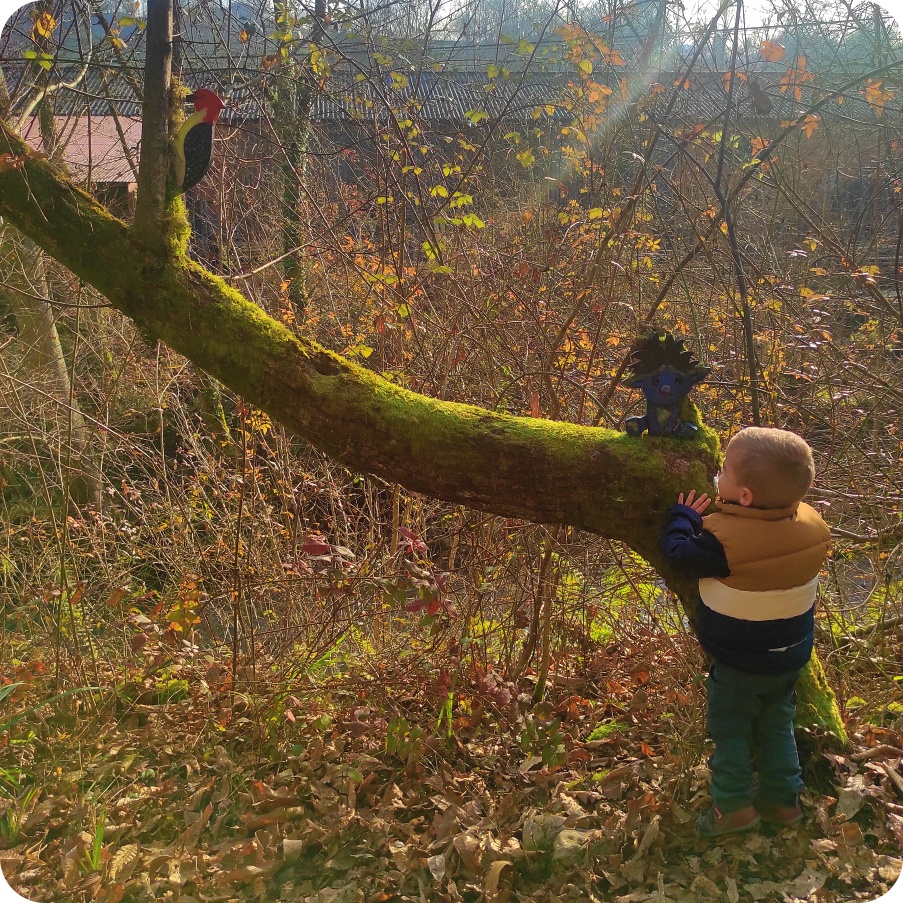 PLANES EN ASTURIAS, DUENDES EN EL BOSQUE